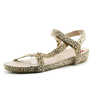 Restricted - sundaybazar