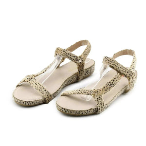 Restricted - sundaybazar