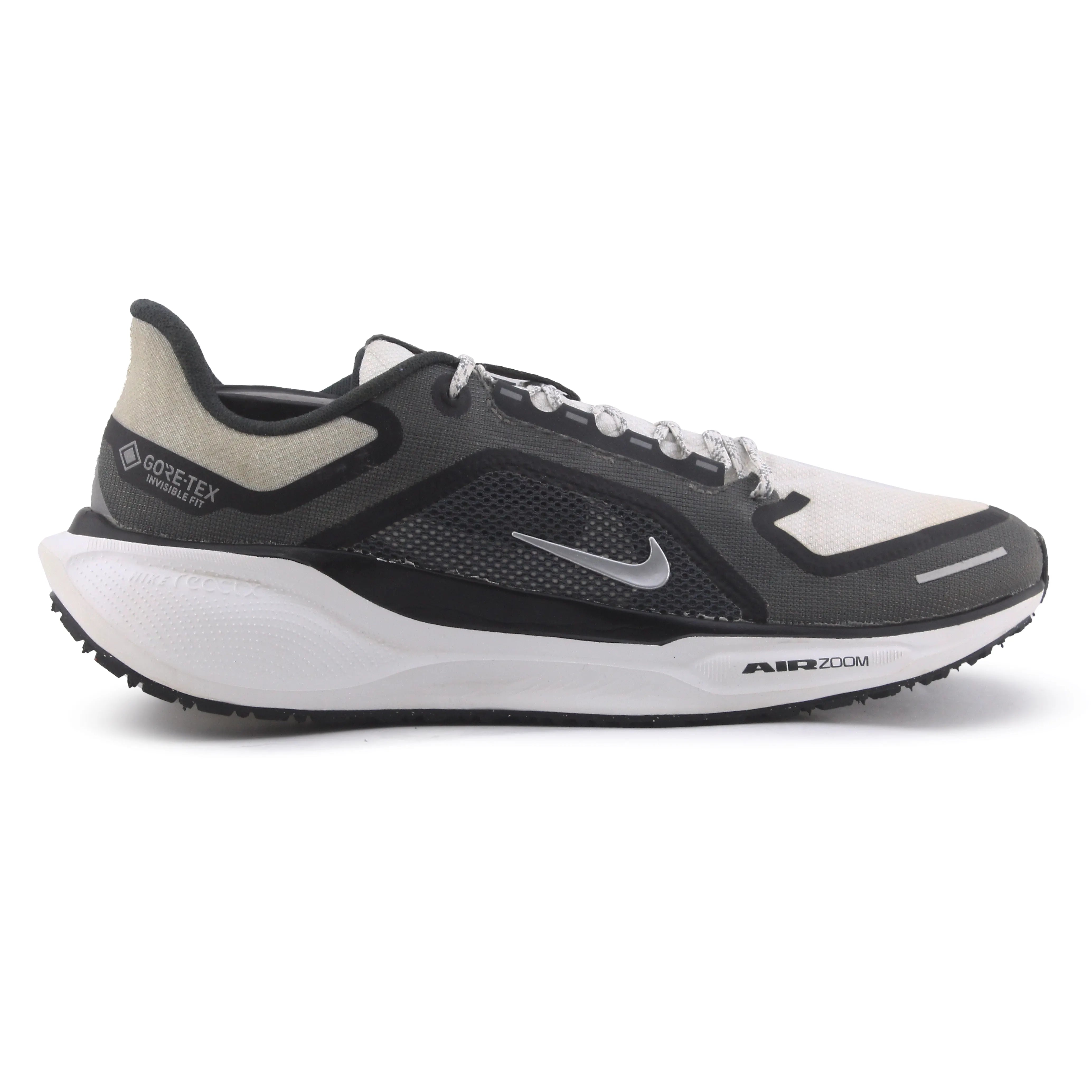 Nike Pegasus 41 Gore-TEX