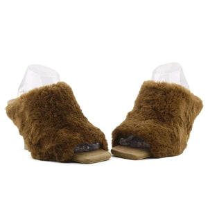 Sting Goya - sundaybazar