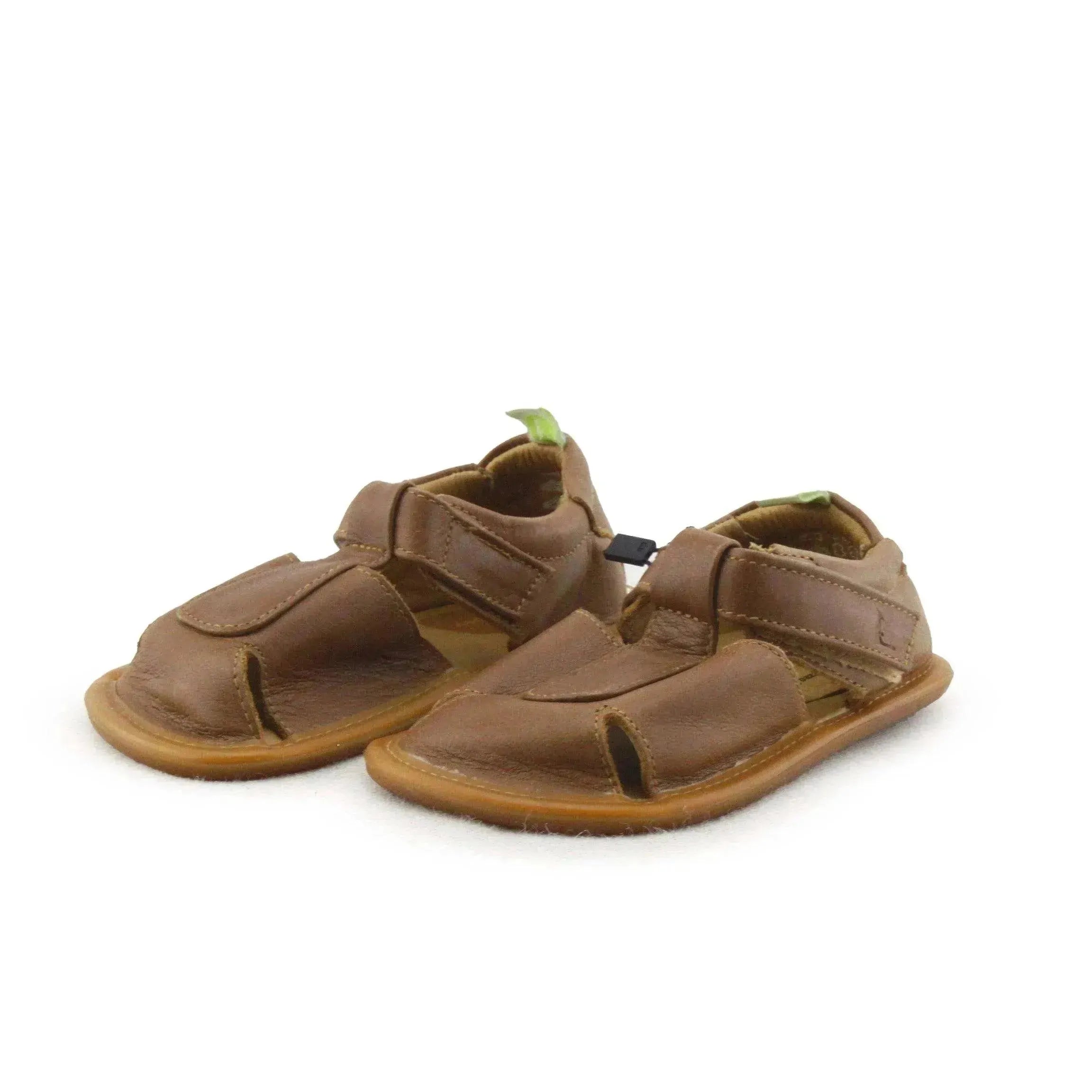 Tip Toey Joey - sundaybazar