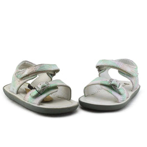 Papaya - sundaybazar