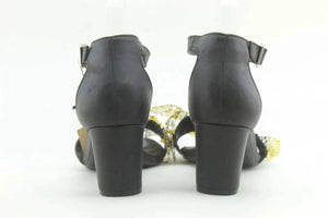 White Mt. - sundaybazar