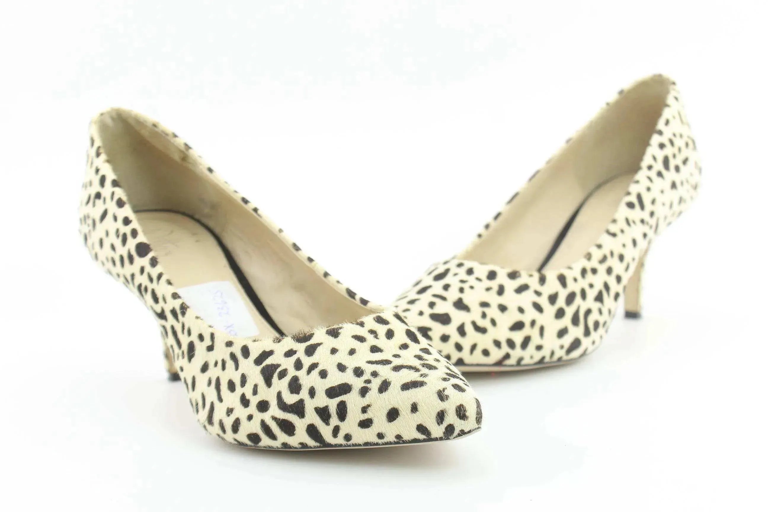 Wittner - sundaybazar