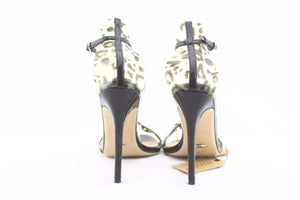 Tony Bianco - sundaybazar