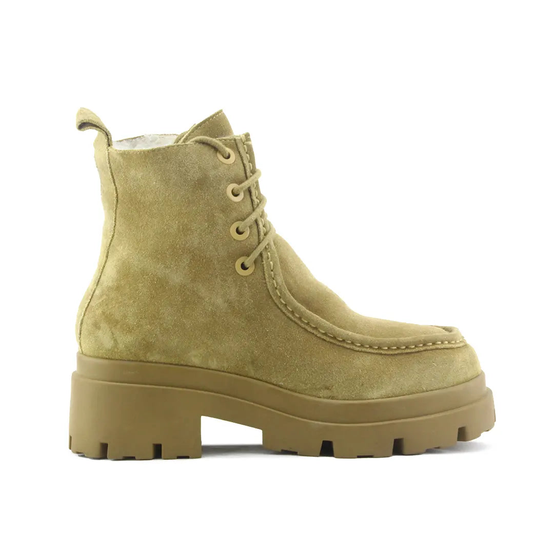 Zara Lace UP Ankle Boot