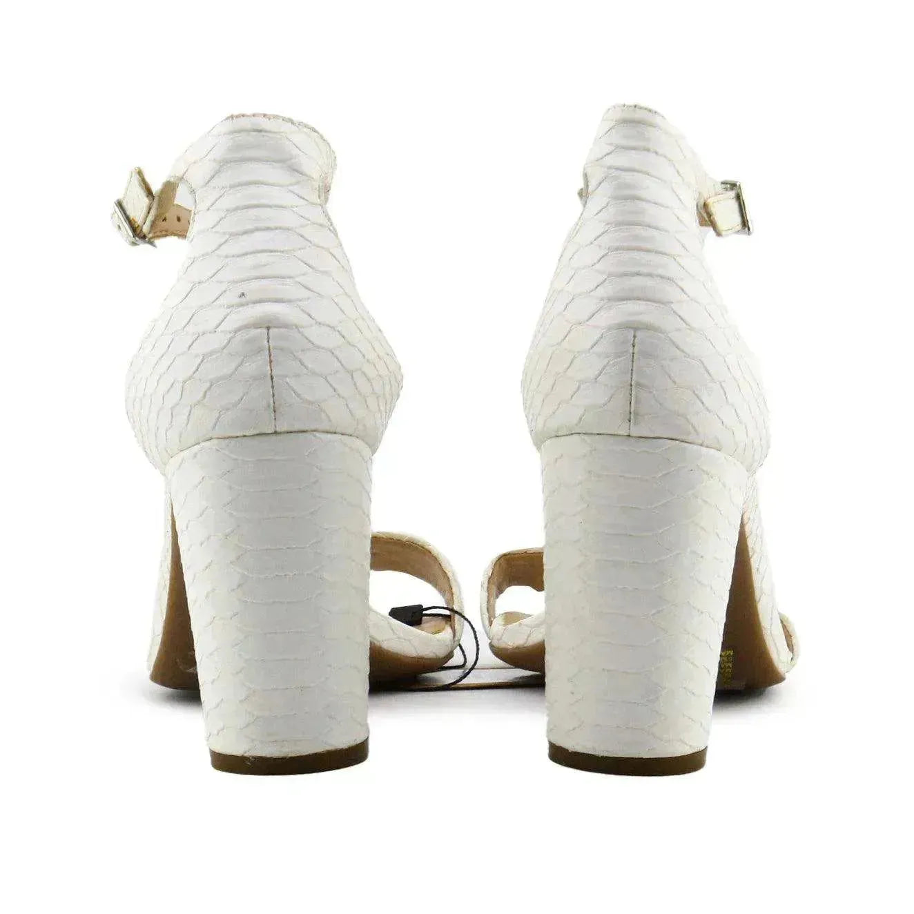 International Concept - sundaybazar