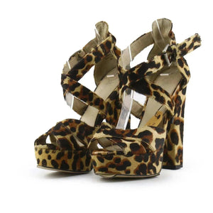 Wittner - sundaybazar