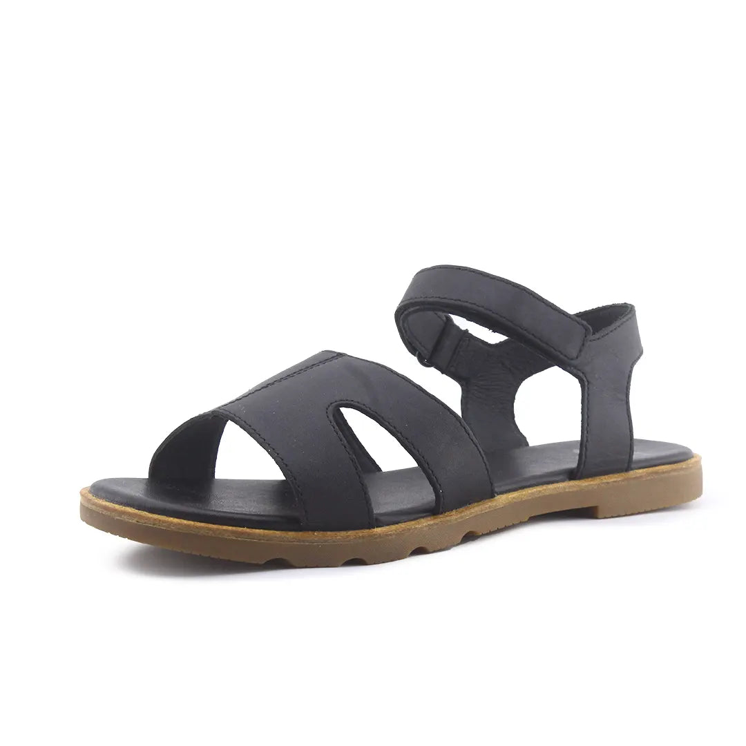 Sorel