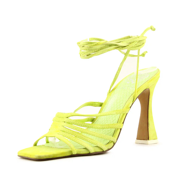 Vince Camuto