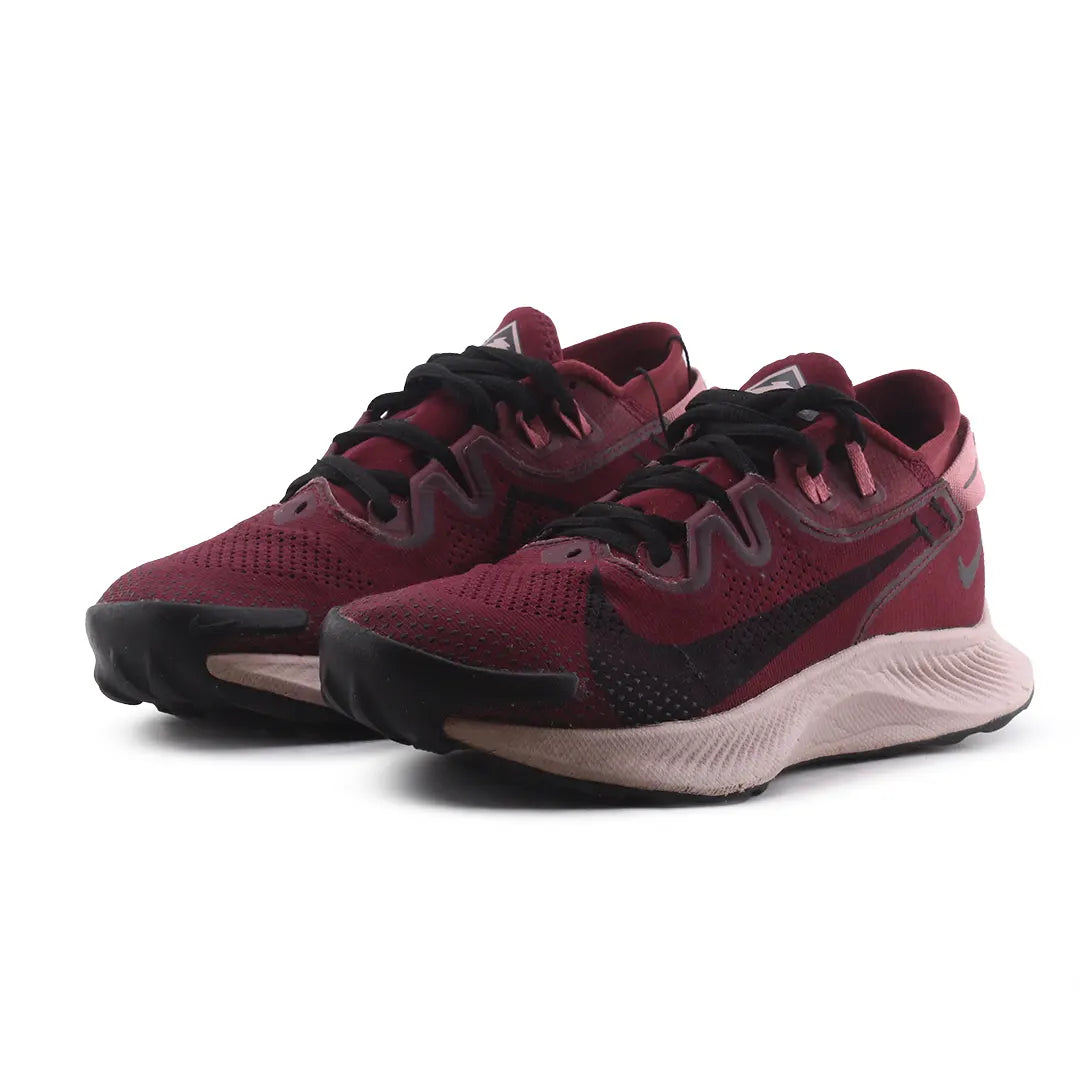 Nike Pegasus Trail 2